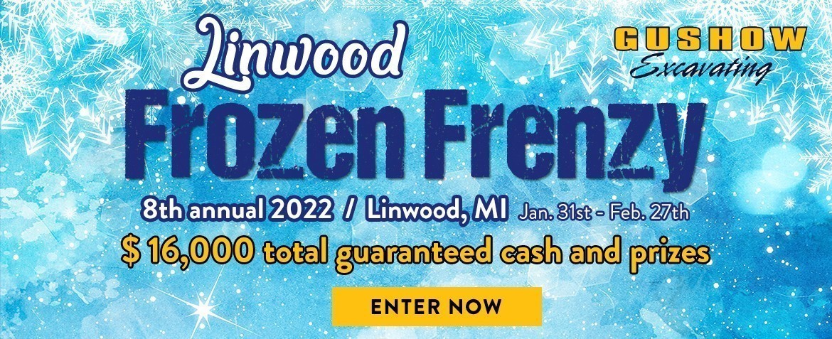 Frozen Frenzy Banner